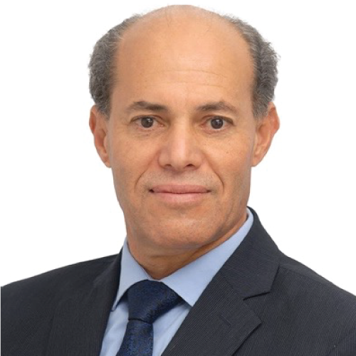 Second vice president(S) North: Prof. Mehdi Darmoul